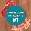 racao-seca-para-gatos-adulto-purina-one-frango-e-carne-500g-7.jpg