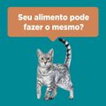 racao-seca-para-gatos-filhote-purina-one-frango-e-carne-500g-8.jpg