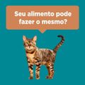 racao-seca-para-gatos-castrados-purina-one-frango-e-salmao-500g-8.jpg