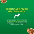 racao-umida-para-cachorro-filhote-purina-dog-chow-frango-com-molho-sache-100g-6.jpg