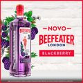 gin-ingles-beefeater-blackberry-garrafa-700ml-3.jpg