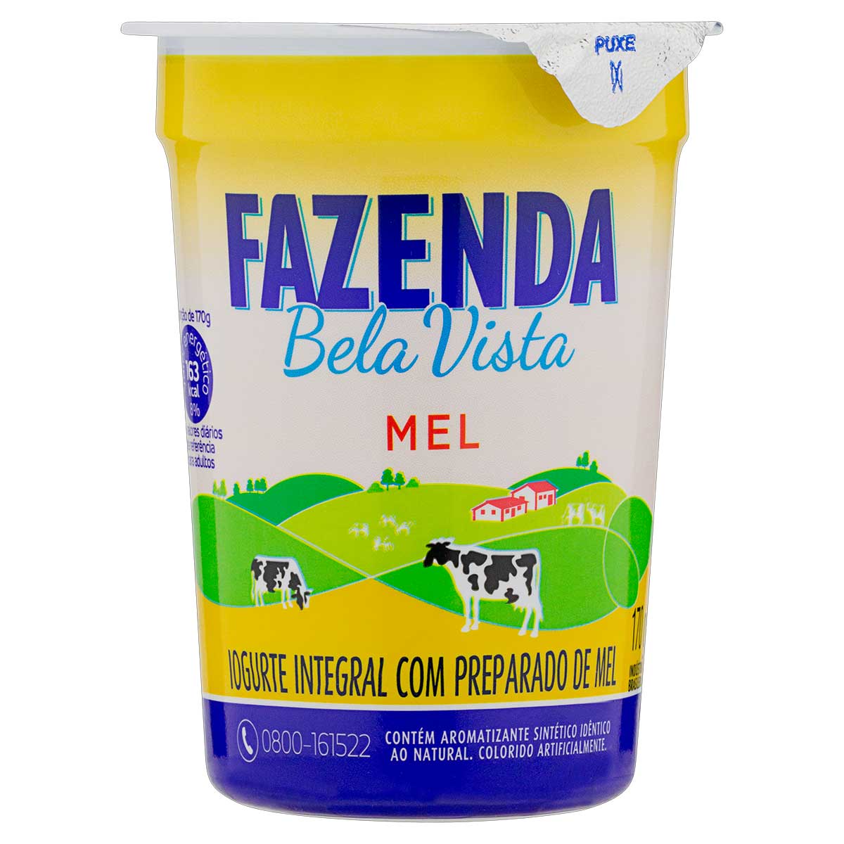 iogurte-integral-fazenda-bela-vista-com-mel-170g-1.jpg