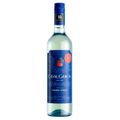 vinho-branco-seco-casal-garcia-premium-750ml-1.jpg