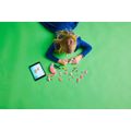 bl-montar-lego-flamingo-rosa-288pcs-4.jpg
