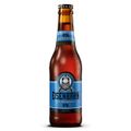 cerveja-eisenbahn-american-ipa-long-neck-355ml-1.jpg