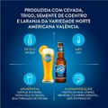 cerveja-blue-moon-garrafa-355ml-5.jpg