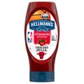 ketchup-hellmann-s-tradicional-380g-1.jpg
