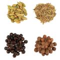 kit-especiarias-para-gin-tonica-br-spices-4-unidades-10-g-cada-2.jpg
