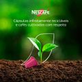 cafe-em-capsula-nescafe-farmers-origins-mexico-10-capsulas-8.jpg