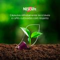 cafe-em-capsula-compativel-com-nespresso-nescafe-farmers-origins-india-10-capsulas-8.jpg