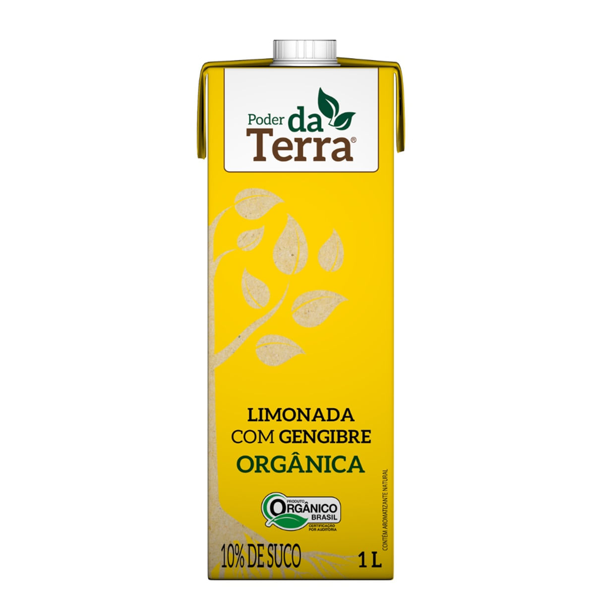 bebida-organica-limonada-e-gengibre-poder-da-terra-caixa-1-l-1.jpg