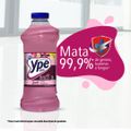 desinfetante-ype-bak-floral-2l-4.jpg