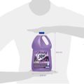 desinfetante-bak-ype-lavanda-5-l-3.jpg
