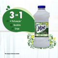 desinfetante-bak-ype-eucalipto-2-l-5.jpg