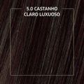 tinta-de-cabelo-biocolor-mini-kit-castanho-claro-luxuoso-5.0-2.jpg