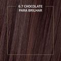 tinta-de-cabelo-biocolor-mini-kit-marrom-natural-irresistivel-6.7-2.jpg