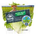 mini-alface-crispy-salanova-carrefour-garantia-de-origem-em-unidade-1.jpg