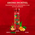 desodorante-aerossol-old-spice-citrico-150ml-6.jpg