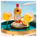 gin-tanqueray-flor-de-sevilla-700ml-5.jpg