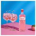 gin-gordon-s-pink-700ml-3.jpg