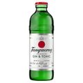 gin---tonic-tanqueray-london-dry-275ml-1.jpg