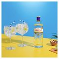 gin-gordon-s-london-dry-750ml-3.jpg