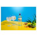 gin-gordon-s-london-dry-750ml-4.jpg