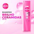 shampoo-seda-ceramidas-infusao-ativa-retinol-e-colageno-325ml-6.jpg