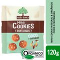 cookies-organicos-mae-terra-coco-e-castanhas-120-g-2.jpg