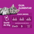 racao-umida-whiskas-sache-carne-jelly-para-gatos-filhotes-85-g-5.jpg