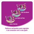 petisco-whiskas-temptations-anti-bola-de-pelo-para-gatos-adultos-40-g-6.jpg