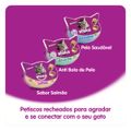 petisco-whiskas-temptations-pelo-saudavel-para-gatos-adultos-40-g-5.jpg