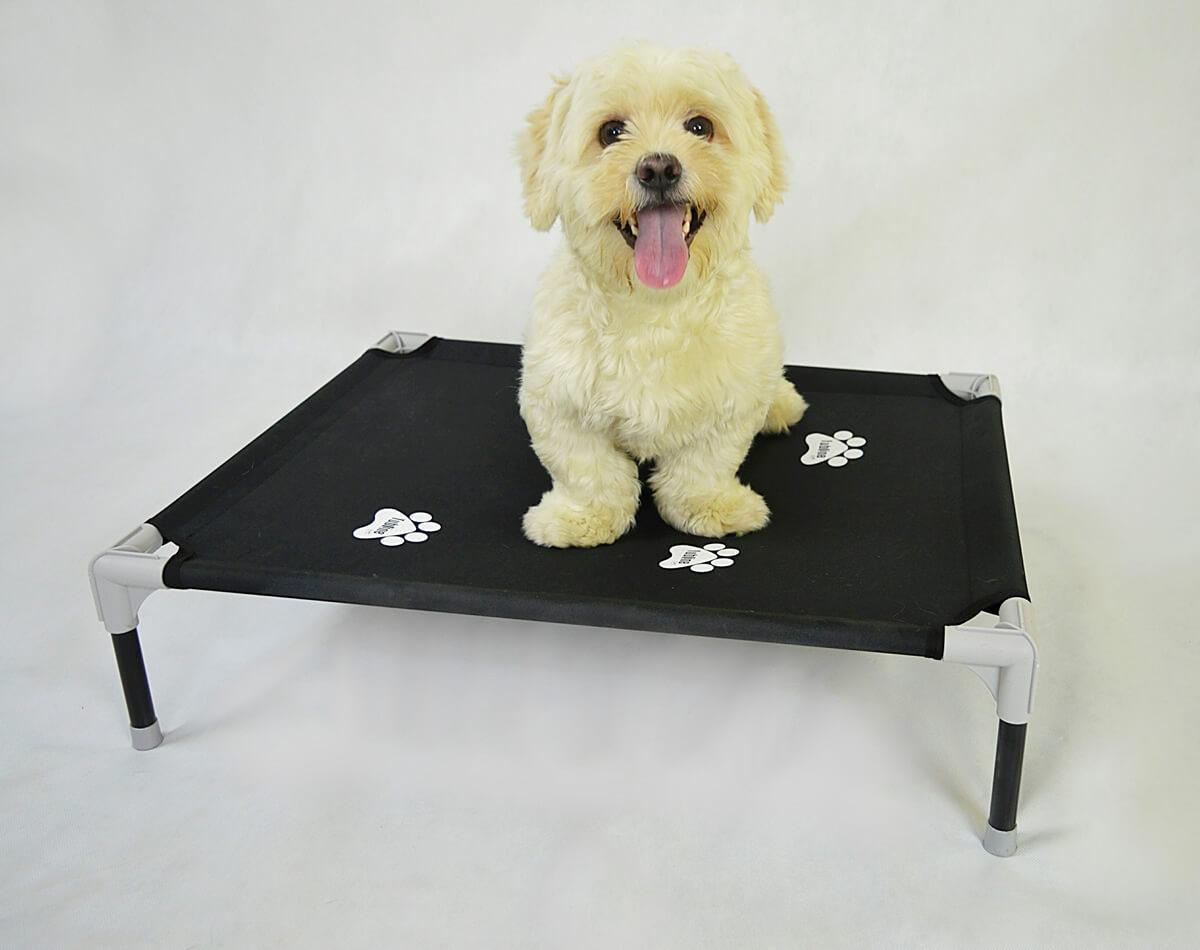 Caminha Pet Comfort Cães E Gatos De Até 15K Tubline