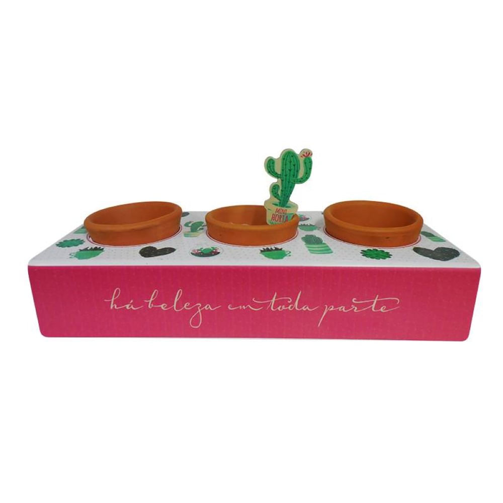 Mini Horta Cactos Kathavento