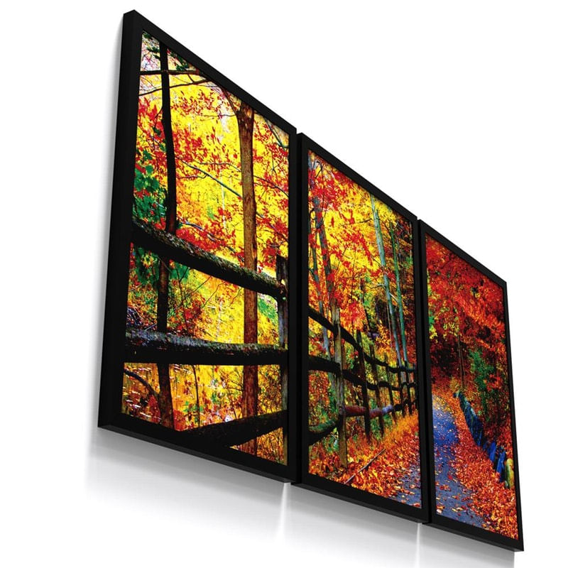 Kit 3 Quadro Decorativo Paisagem Bosque Outono Folhagem