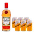 gin-tanqueray-sevilla-700-ml---6-tonicas-schweppes-sem-acucar-lata-350-ml-1.jpg