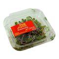 rabanete-microgreens-pink-farms-30-g-1.jpg