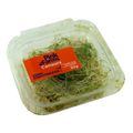 cenoura-microgreens-pink-farms-30-g-1.jpg