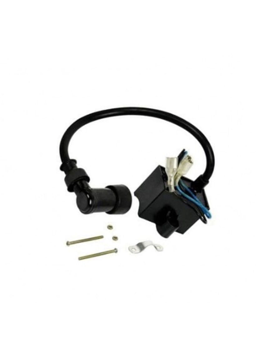 Bobina Cdi Para Kit Motor 80Cc - Dsr