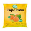 polpa-fruta-nossa-fruta-umbu-caja-400g-1.jpg