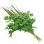 salsa-cheiro-verde-organico-hig-caisp-90-g-1.jpg