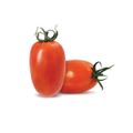 tomate-pomodoro-bertolin-450g-1.jpg