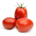 tomate-fanny-bertolin-550g-2.jpg