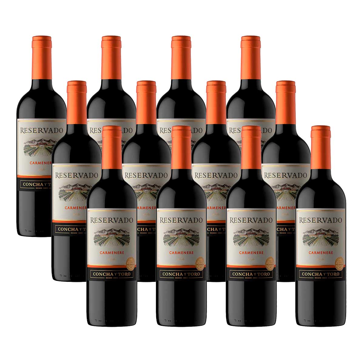 kit-vinho-tinto-chileno-concha-y-toro-reservado-carmenere-com-12-unidades-de-750-ml-1.jpg