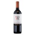 kit-vinho-tinto-chileno-casillero-del-diablo-carmenere-reserva-com-12-unidades-de-750-ml-2.jpg