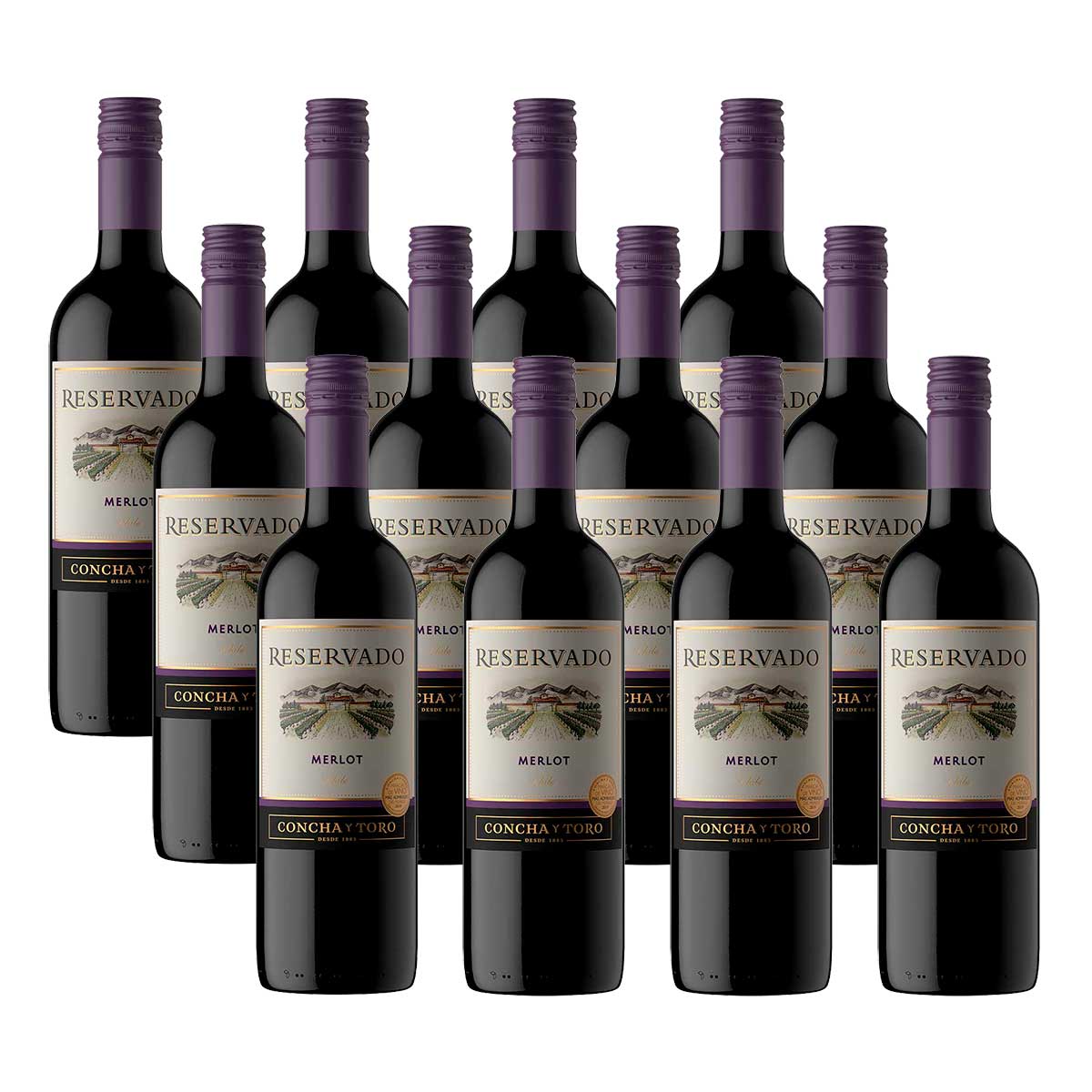 kit-vinho-tinto-chileno-concha-y-toro-reservado-sauvignon-merlot-com-12-unidades-de-750-ml-1.jpg