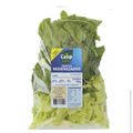 salada-italiana-hig-caisp-170g-1.jpg