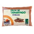 polpa-congelada-cobase-tamarindo-200-g-1.jpg