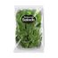 salada-chicoria-natural-salads-150g-1.jpg