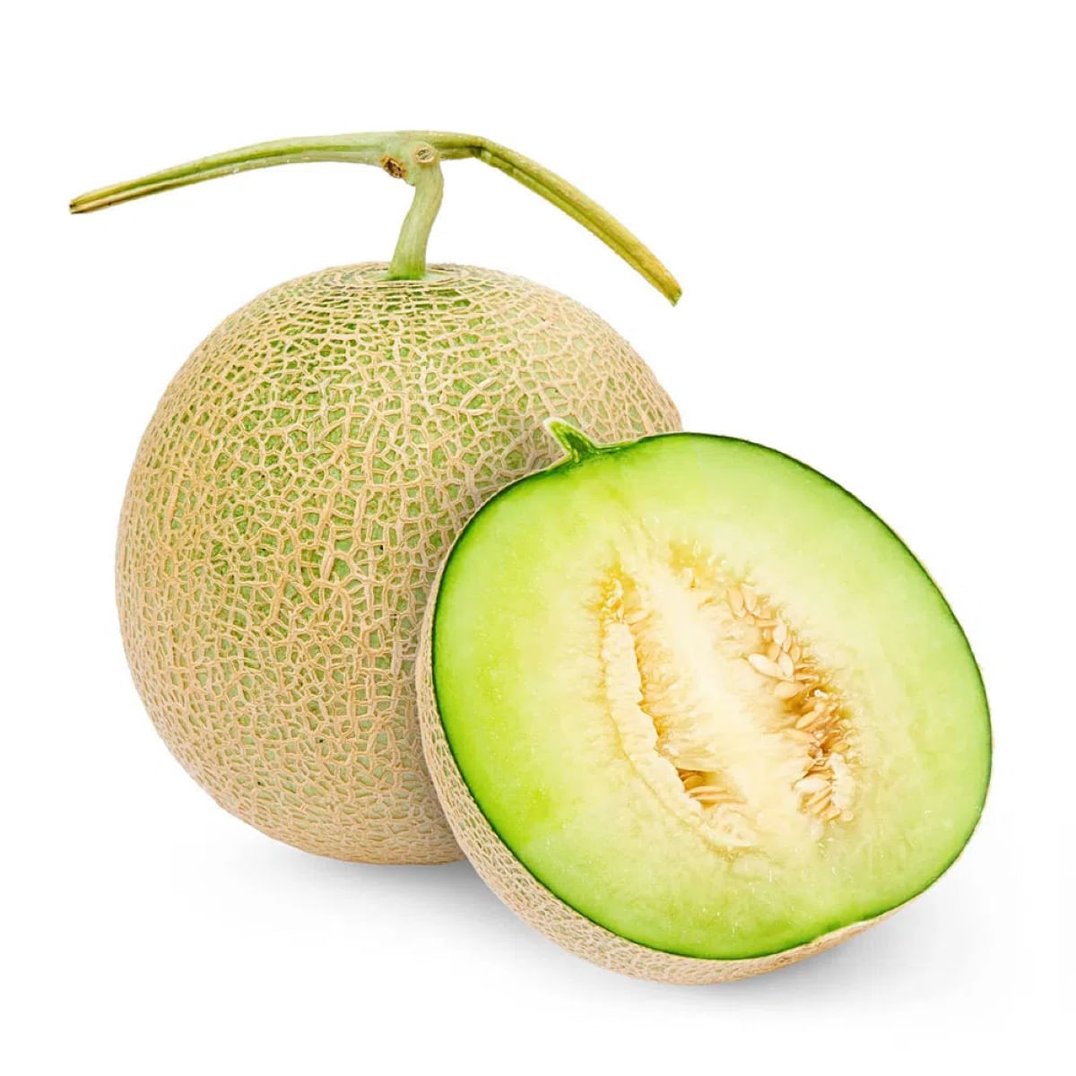 melao-net-melow-kg-1.jpg